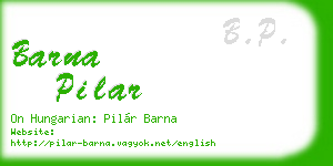 barna pilar business card